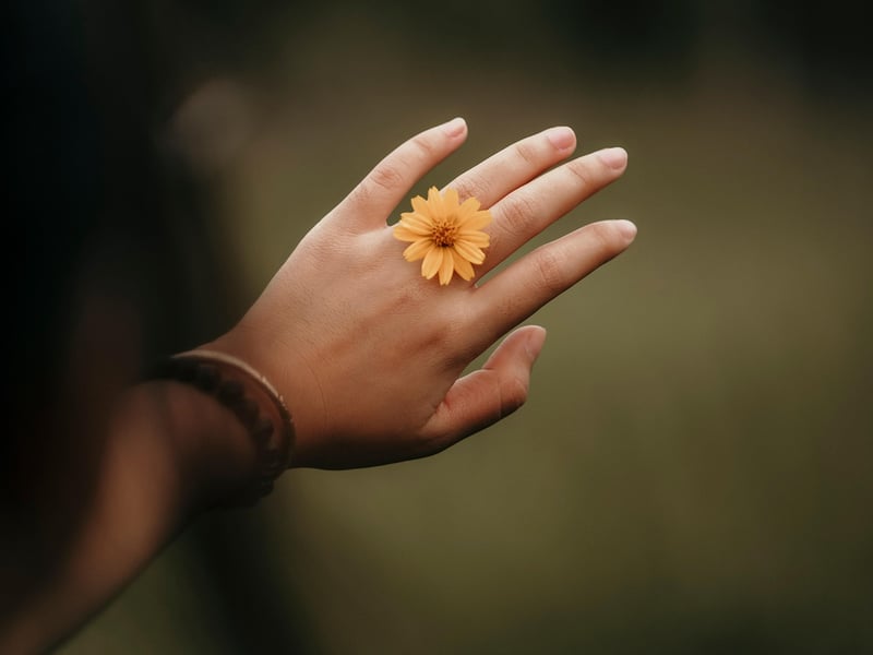 Petal Jewelry