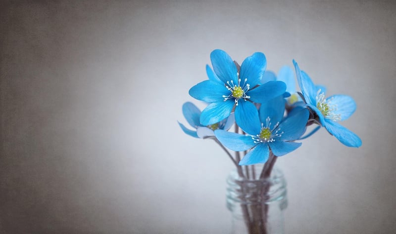 Flower Arrangement